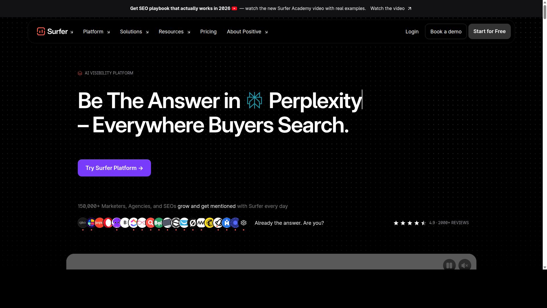 Surfer SEO website